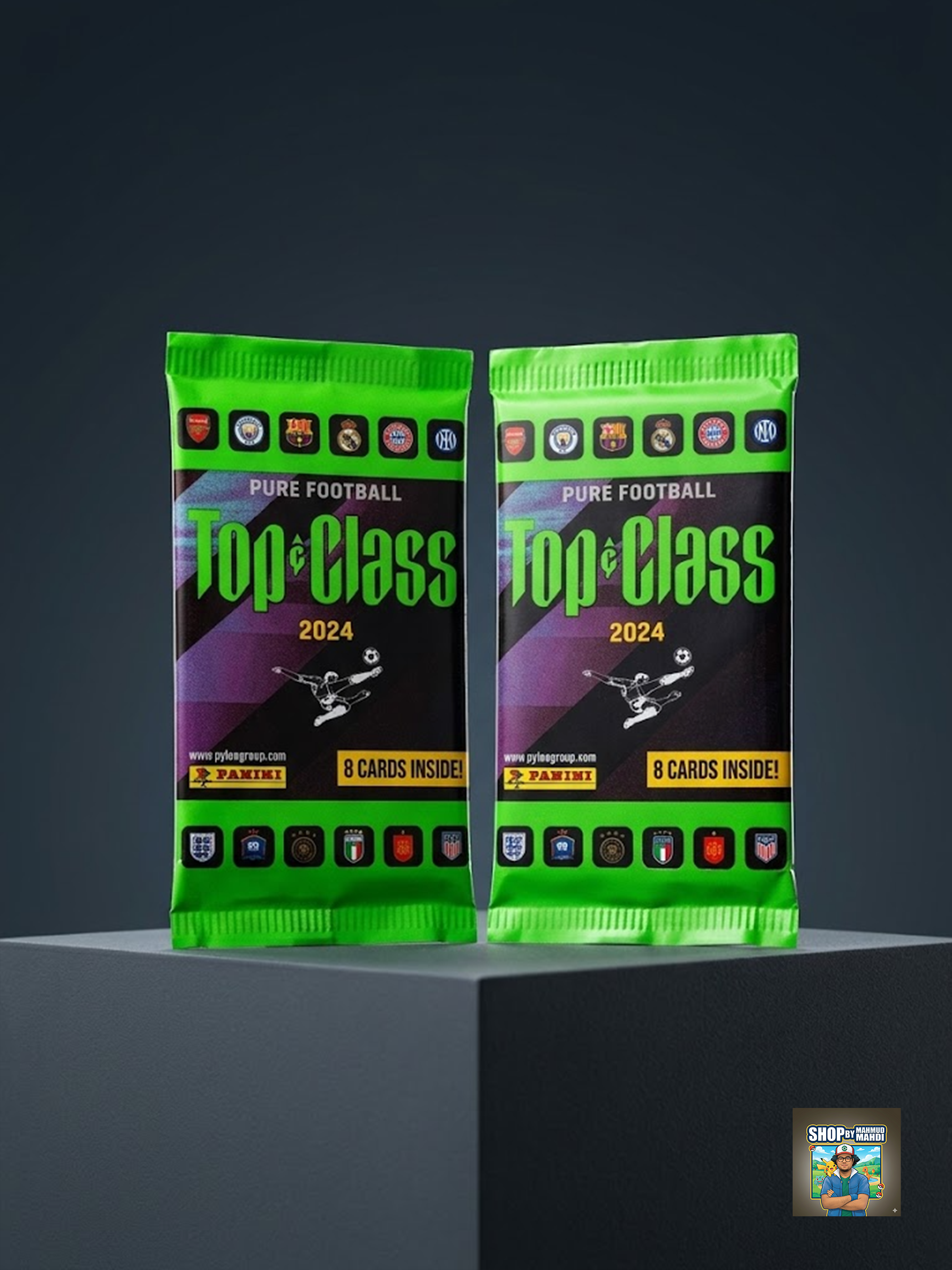 Panini - Top Class 2024 Pack (1 Pack)